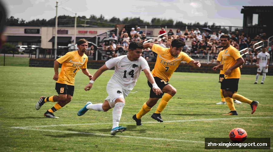 星空体育·(中国)官方网站-XINGKONG SPORT